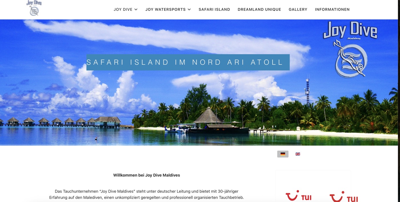 Screenshot der Webseite Joydive